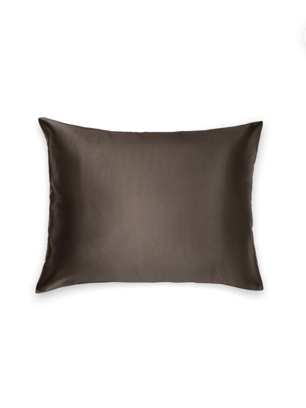 Branche Beauty Charmeuse Silk Queen/Standard Pillow Case - Driftwood -NWT